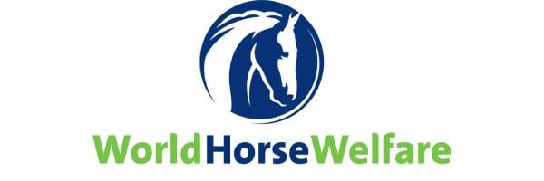 World Horse Wefare